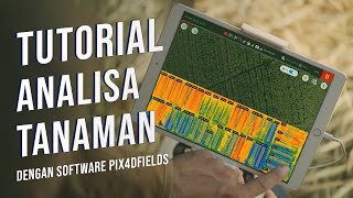 Tutorial PIX4Dfields Trial Plot Analysis amp Statistical Comparison with Multispectral Imagery [upl. by Betty]