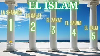 Los 5 pilares del Islam  ¿Cuál es el orden y por qué [upl. by Nylhsa462]