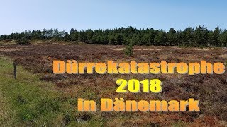 Dürrekatastrophe in Dänemark 2018  Das Grundwasser geht aus [upl. by Eiba]