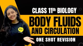 Body Fluids and Circulation One Shot Revision Biology  Class 11th Biology NCERT with Sonam Maam [upl. by Doralia499]