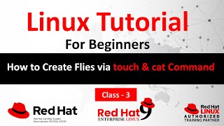 Linux Fundamentals Tutorial in Hindi  How to Create Flies via touch amp cat Command  RHCSA Training [upl. by Ardnasela]