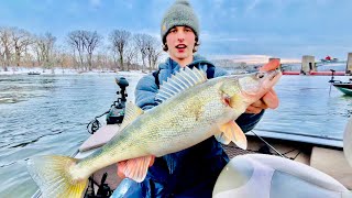 WALLEYE FISHING POOL 4 MISSISSIPPI RIVER  2023 EARLY SEASON MINNESOTA [upl. by Ydassac]