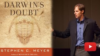 Dr Stephen C Meyer PhD talks about the Case for Intelligent Design [upl. by Auric]