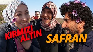 SAFRAN TARLALARIİMAM GAZALİNİN KABRİFİRDEVSİNİN KABRİSHAJARIANNIN KABRİ [upl. by Joelie]