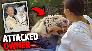 This White Tiger Attacked Its Owner In Front of Audience [upl. by Eiddal]