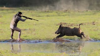 TOP 10 WILD BOAR HUNTING  Best Scenes SEASON 2024  PART 7 [upl. by Knipe]