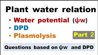 Water potential  DPD  Plasmolysis  Plant water relatioin [upl. by Lezned181]