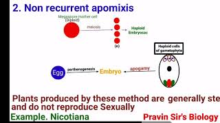 Apomixis  Recurrent apomixis  Non recurrent apomixis  Adventive embryony  Pravin Sirs Biology [upl. by Peppi]