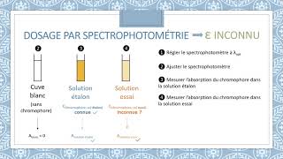 Dosage spectrophotométrique [upl. by Elspet]