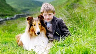 Lassie 2005  Film completo in italiano [upl. by Thea]