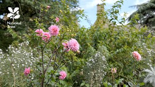 Explore an Arts and Crafts garden with the National Trust at Hidcote [upl. by Oynotna]