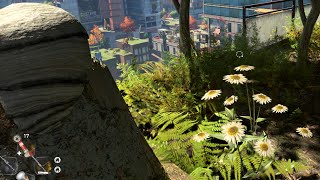 Dying Light 2  Unlimited Honey Poppy UV Shrooms amp flowers farming [upl. by Noakes]