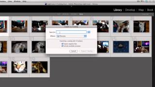 How to Export Lightroom Catalog [upl. by Idnew]