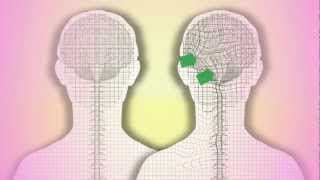 CranioSacral Therapy What is it How does it work by Tad Wanveer [upl. by Aleek]