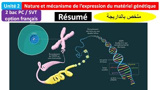 Résumé unité  nature et mécanisme de lexpression de linformation génétique 2BAC PC  SVT [upl. by Aeirdna]