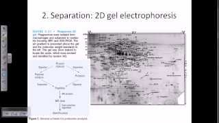 Proteomics [upl. by Anerbas]