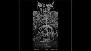 Invincible Force  Decomposed Sacramentum Full 2020  death metal [upl. by Radford]