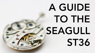 SEAGULL ST36  3600 REVIEW  All You Need To Know ETA 6497  6498 [upl. by Tomasine410]