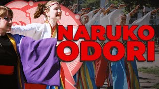 YOSAKOI NARUKO ODORI by NamiYosa NAMI AIRANDO 2024 Poland [upl. by Pelag142]