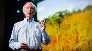 How to green the worlds deserts and reverse climate change  Allan Savory [upl. by Aehtrod]