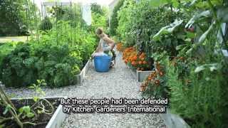 Drummondvilles front yard vegetable garden [upl. by Alexandre]