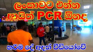 Do you need a PCR report to travel Sri Lanka  Latest Airport updates Katunayake 2023 [upl. by Verdha]