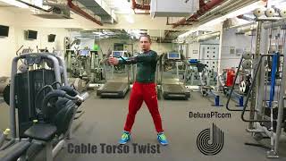 How To Cable Torso Twist [upl. by Peskoff]