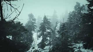 Snowstorm Blizzard Wind Sounds For Sleeping Relaxing  Calm Snow Arctic Howling Winter Ambience [upl. by Adnik791]