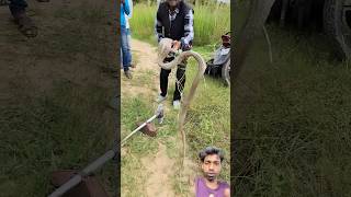 Snake  sap dorar stick diye kemon ￼ kore sap dore dekho [upl. by Adamis29]