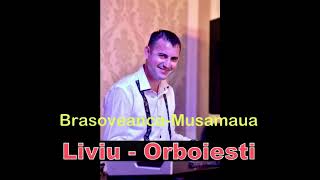 Brasoveanca si MusamauaLiviu de la Orboiesti obiceiuri de nunta live 2010 [upl. by Kin789]