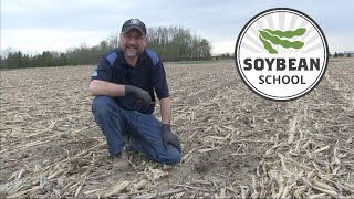 Soybean School Five key agronomic decisions for planting season [upl. by Dirraj]