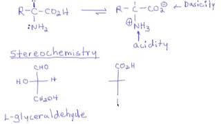 89 Amino Acids Introduction  Stereochemistry amp Nomenclature [upl. by Beard214]