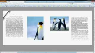 PDF zum blättern InDesign CS5 Tutorial Page Flipping [upl. by Nwahshar]