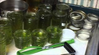 Canning Chocolate Mint Jelly [upl. by Ekul]