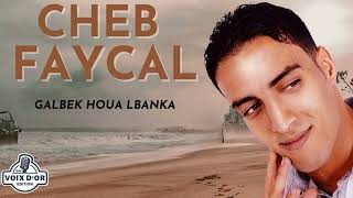 Cheb Faycal  Galbek houa lbanka [upl. by Enelaehs650]