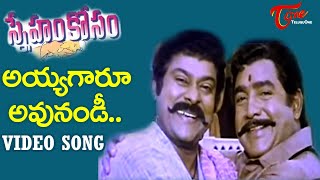 Ayyagaru Avunandi Song  Sneham Kosam Movie  Chiranjeevi VijayaKumar Full Josh Song  TeluguOne [upl. by Fey]