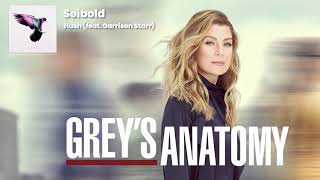 Seibold  “Hush feat Garrison Starr” Used in ABCs Greys Anatomy Season 16 Episode 1 [upl. by Arakihc507]