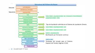 Sistema de Liquidación Directa PRESENTACION DE LA LIQUIDACION [upl. by Howarth]