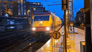 Züge in Hamburg Hbf inkl AKE Rheingold 13102023 [upl. by Ayeka]