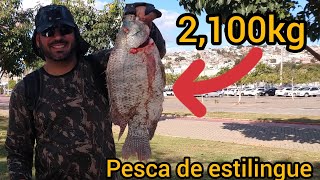 Pesca de estilingue no Rio doce COLATINA ES slingshot fishing [upl. by Seditsira]