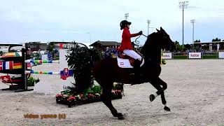 Horse show jumping falls compilation [upl. by Mattheus]