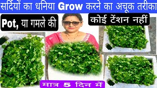 Coriander धनिया grow karne ki new tric only five5 days meingardening fertilizer garden [upl. by Airak762]