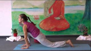 Intermediate Yoga Vidya Class 20 Minutes [upl. by Megan]