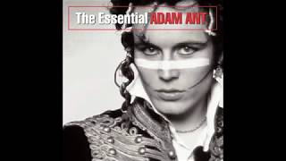 Desperate But Not Serious  Adam Ant [upl. by Darb39]