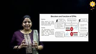 Gene Editing by Zinc Finger Nucleases  L2  Prof Suparna Deepak  PCACS [upl. by Tristas]