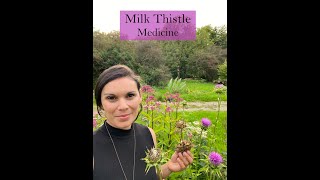 Milk Thistle Seed Medicine from the Ivywood Garden [upl. by Bethina]