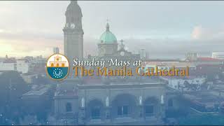 Sunday Mass at the Manila Cathedral  September 15 2024 1000am [upl. by Eivi]