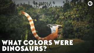 What Colors Were Dinosaurs [upl. by Higginbotham]