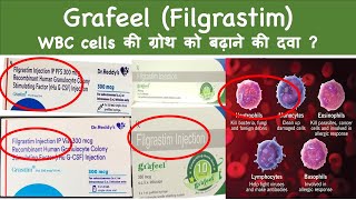 Grafeel Filgrastim WBC cells की ग्रोथ को बढ़ाने की दवा [upl. by Ahsinelg]