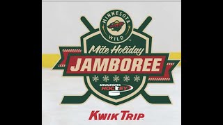 2021 Wild Mite Jamboree Rink 2  Day 2 [upl. by Nnil]